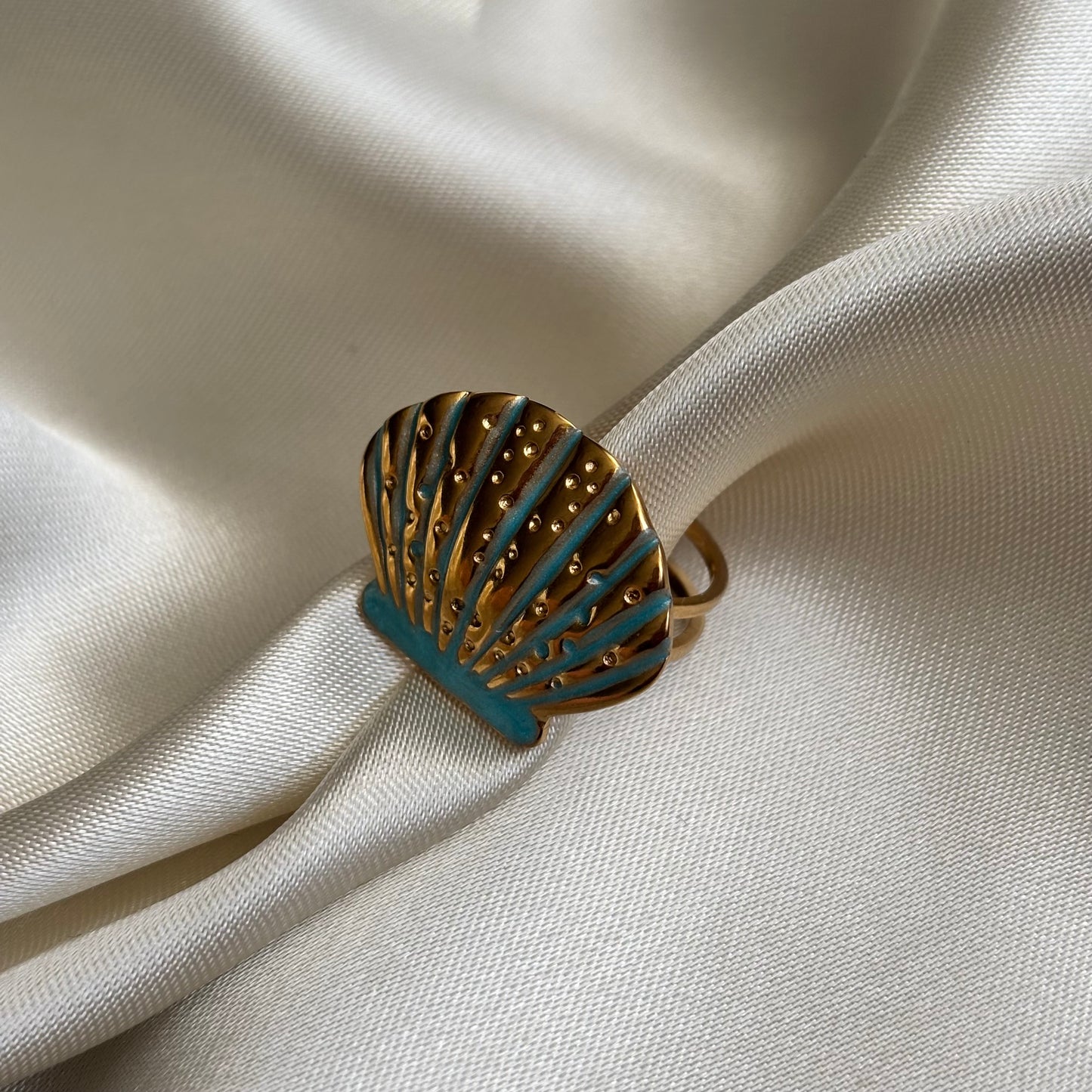 Beachring schelp B24