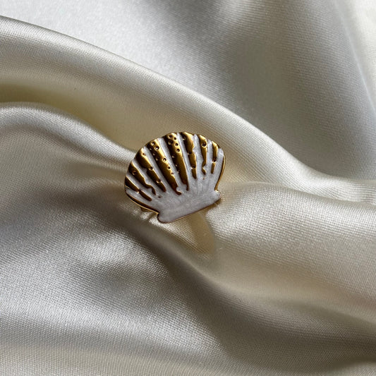 Beachring schelp W6