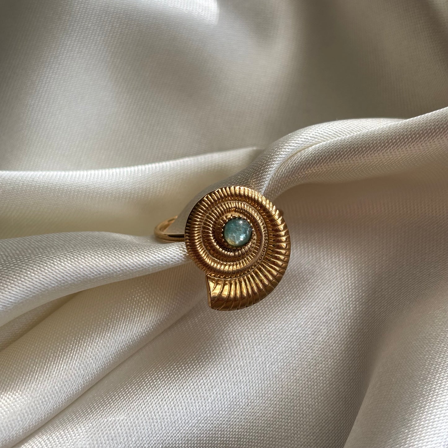 Beachring schelp B6