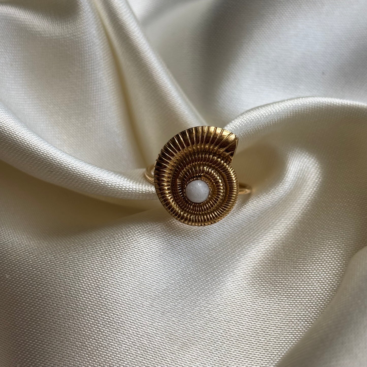 Beachring schelp W33