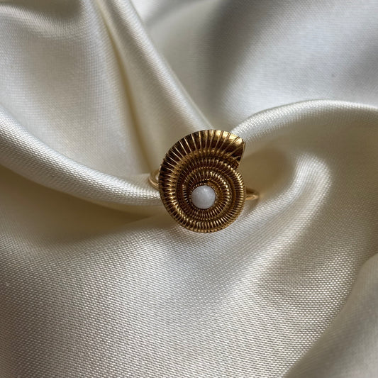 Beachring schelp W33